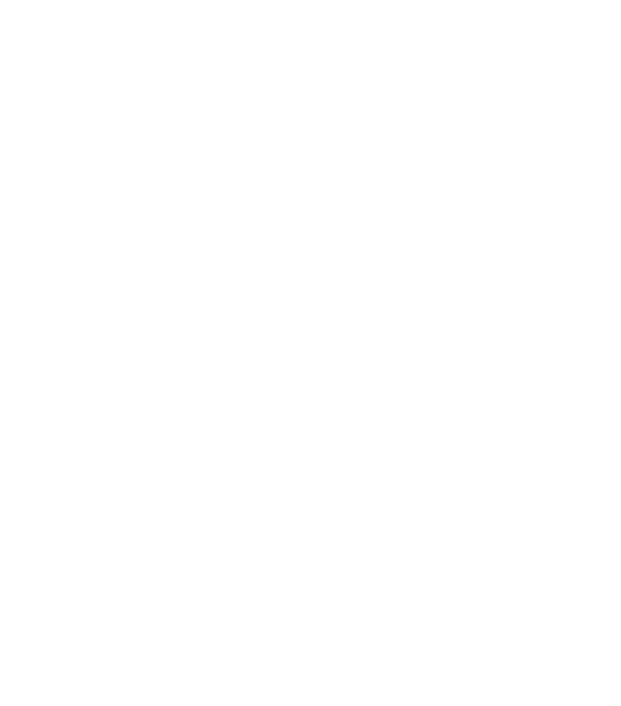 Ray Plieness