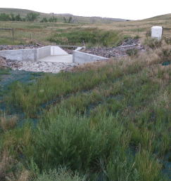 A concrete structure is located in a grassy field. AI generated content