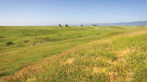 A large, open field with a few trees in the distance. AI generated content