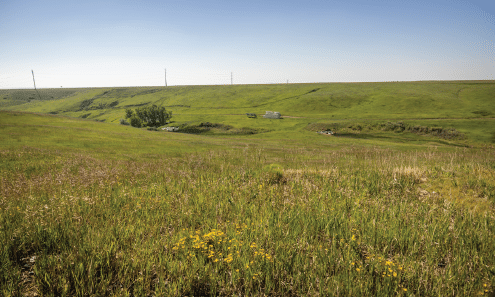 A large, open field with a house in the distance. AI generated content