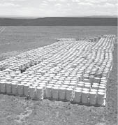 [Alt text was not generated.]