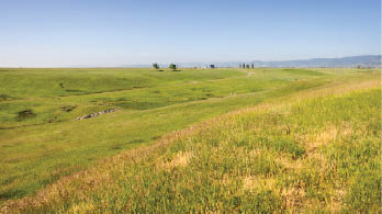 A large, open field with a few trees in the distance. AI generated content