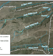 A map of a rural area with a river and a dirt road. AI generated content