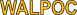 Polygon