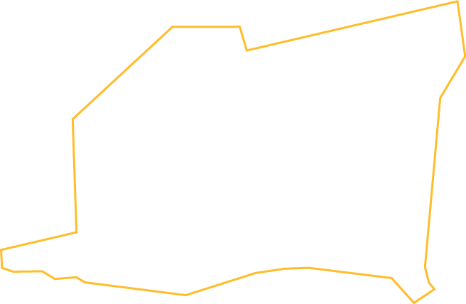 Polygon