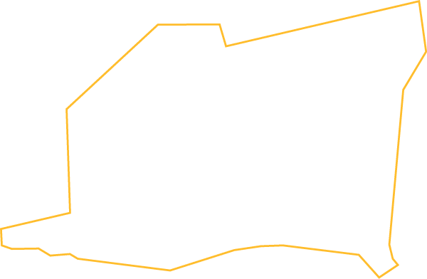 Polygon