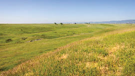 A large, open field with a few trees in the distance. AI generated content