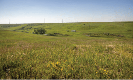 A large, open field with a house in the distance. AI generated content