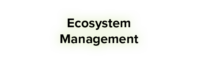 Ecosystem Management