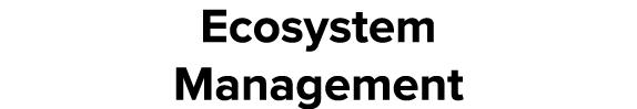 Ecosystem Management
